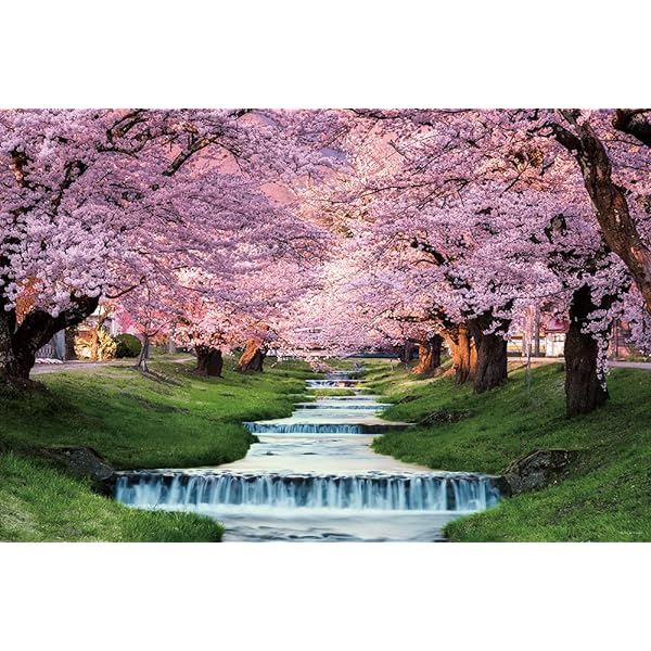 1000ピース ジグソーパズル 観音寺川の桜並木 (福島) (50x75cm)画像