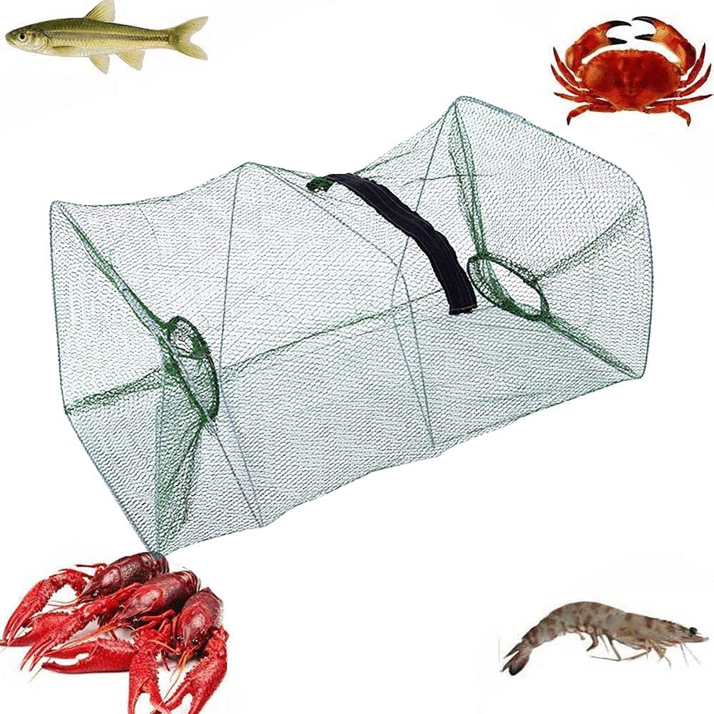 最大67 Offクーポン お魚もんどり std Dprd Jatimprov Go Id 最大67 Offクーポン お魚もんどり std Dprd Jatimprov Go Id