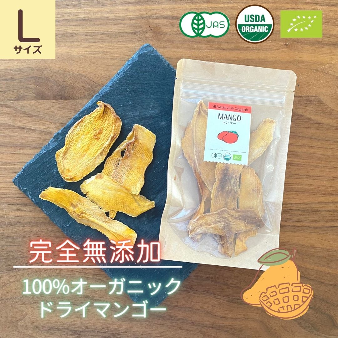男女兼用 ドライマンゴー 有機JASオーガニック マハチャノック種 50g 12袋 無添加 砂糖不使用 タイ産 