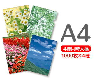 A4せつ然たる整理保存用具刷り上げる1000枚×4種\u003d4000枚