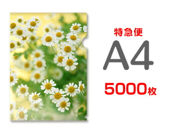 【急行列車便】A4せつ然たる整理保存用具5000枚（単価27.4円）
