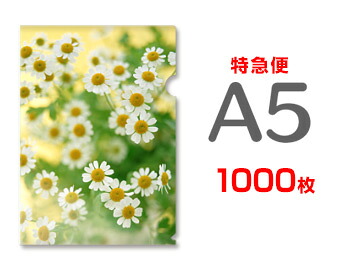 【特急便】A5 クリアファイル1000枚（単価61円）