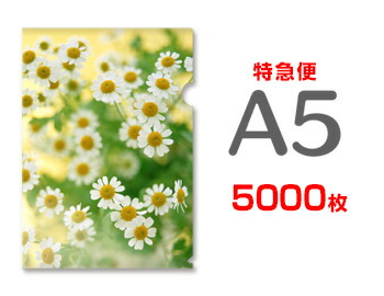 【急行列車便】A5せつ然たる整理保存用具5000枚