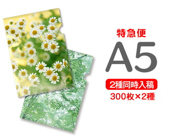 【急行列車便】A5せつ然たる整理保存用具300枚+300枚\u003d600枚