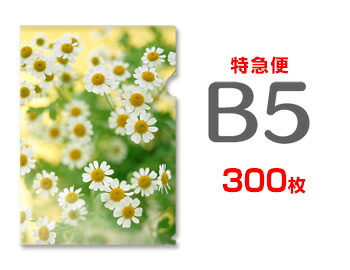 【急行列車便】B5読みやすい整理保存用具300枚