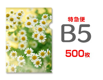 【急行列車便】B5読みやすい整理保存用具500枚