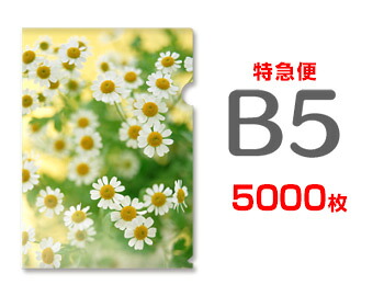 【急行列車便】B5せつ然たる整理保存用具5000枚
