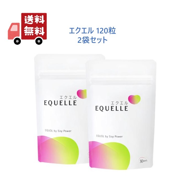 完成品 大塚製薬 エクエル パウチ 120粒（30日分）×2セット - その他