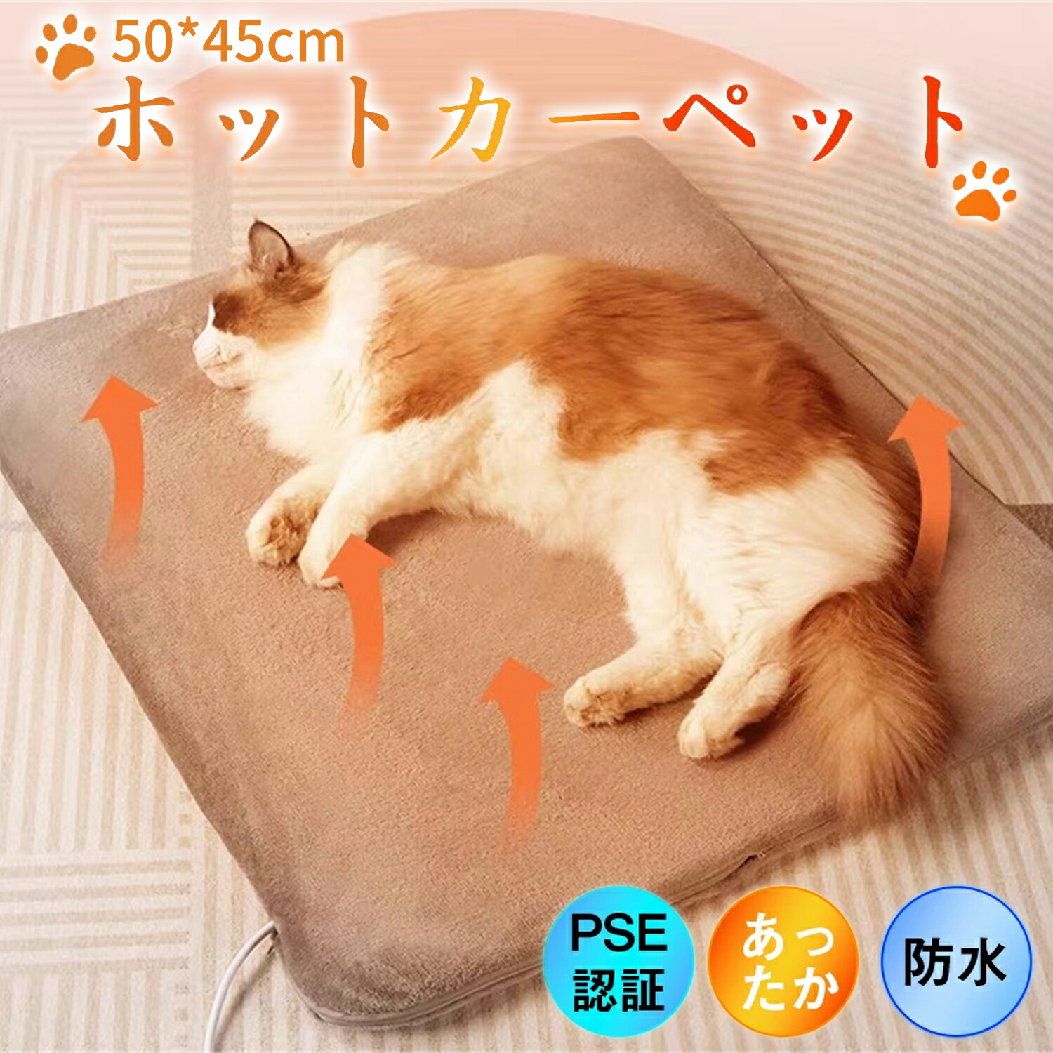 難関物理　冬期・夏期セット 難関物理 冬期・夏期セット 000000000891_M9qj1Hl.jpg