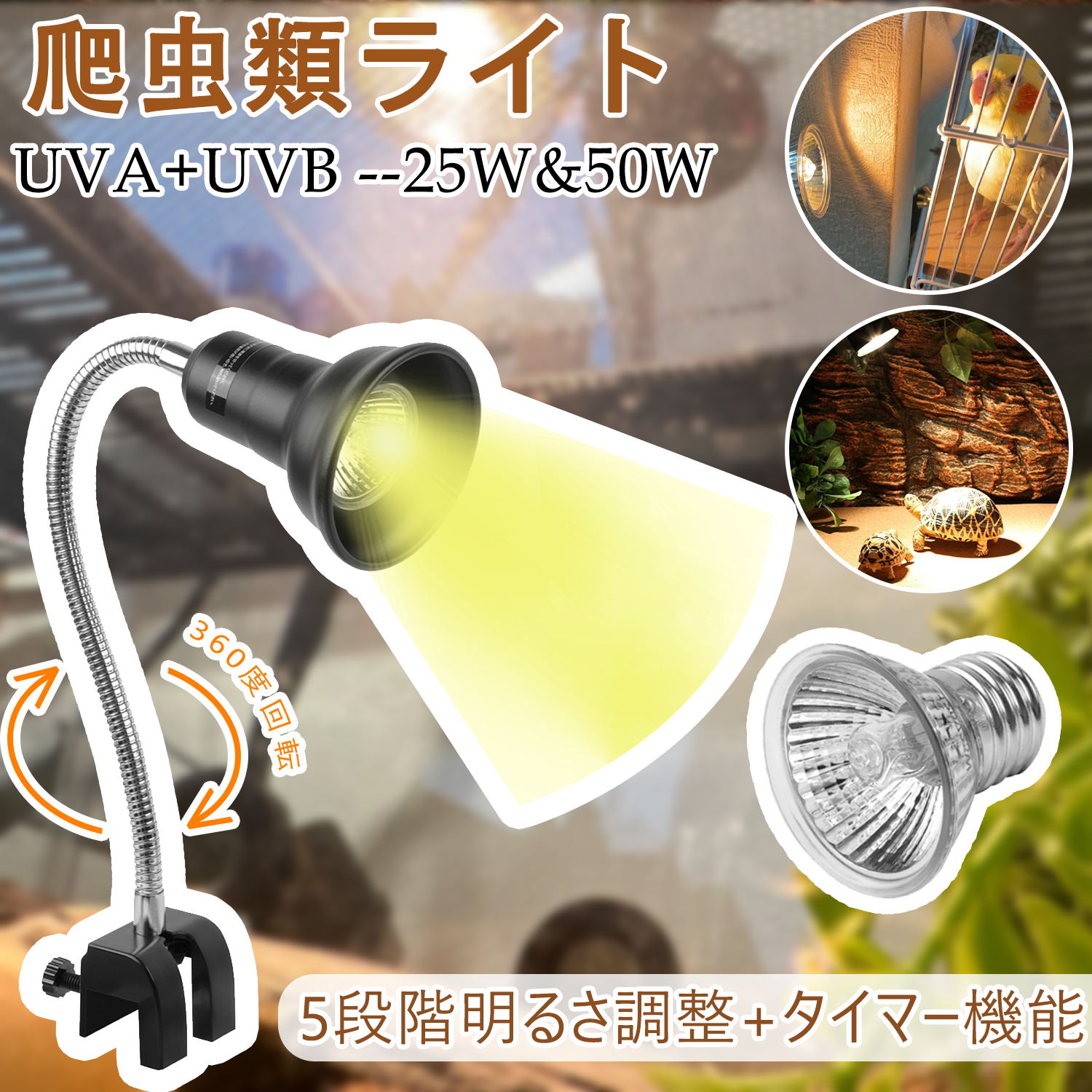 楽天市場】【夏本番 | 2倍P＆最大17%OFF】DEWEL 爬虫類 ライト UVB