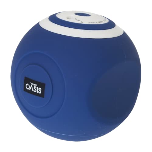 TOKYU SPORTS OASIS 東急運動競技オアシス スタイリーボール 振りまわす気泡管水準器５座標軸 SLB-100 上半身世話をする 筋トレ 伸ばすこと覆いかぶせる付 (米国海軍)