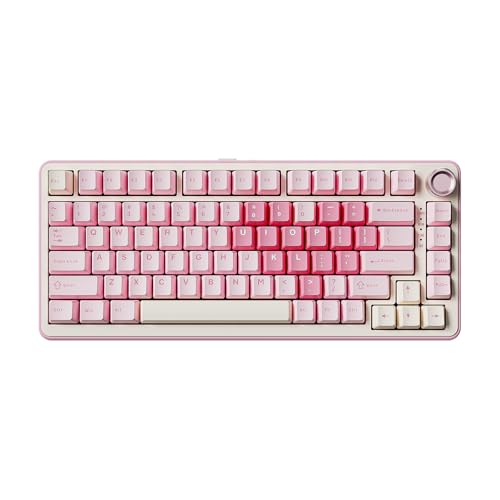 YUNZII B75 PRO 75% ガスケットゲーミングキーボード 無線電話力学的鍵盤 BT/2.4G/有線 無線電話 熱っぽい取り換える 積み上げる RGB ノッブ付き添い人カスタム鍵盤 Mac/Win用 技適公許手に入れる (さくら色, 酪漿V2取り替えっこ)