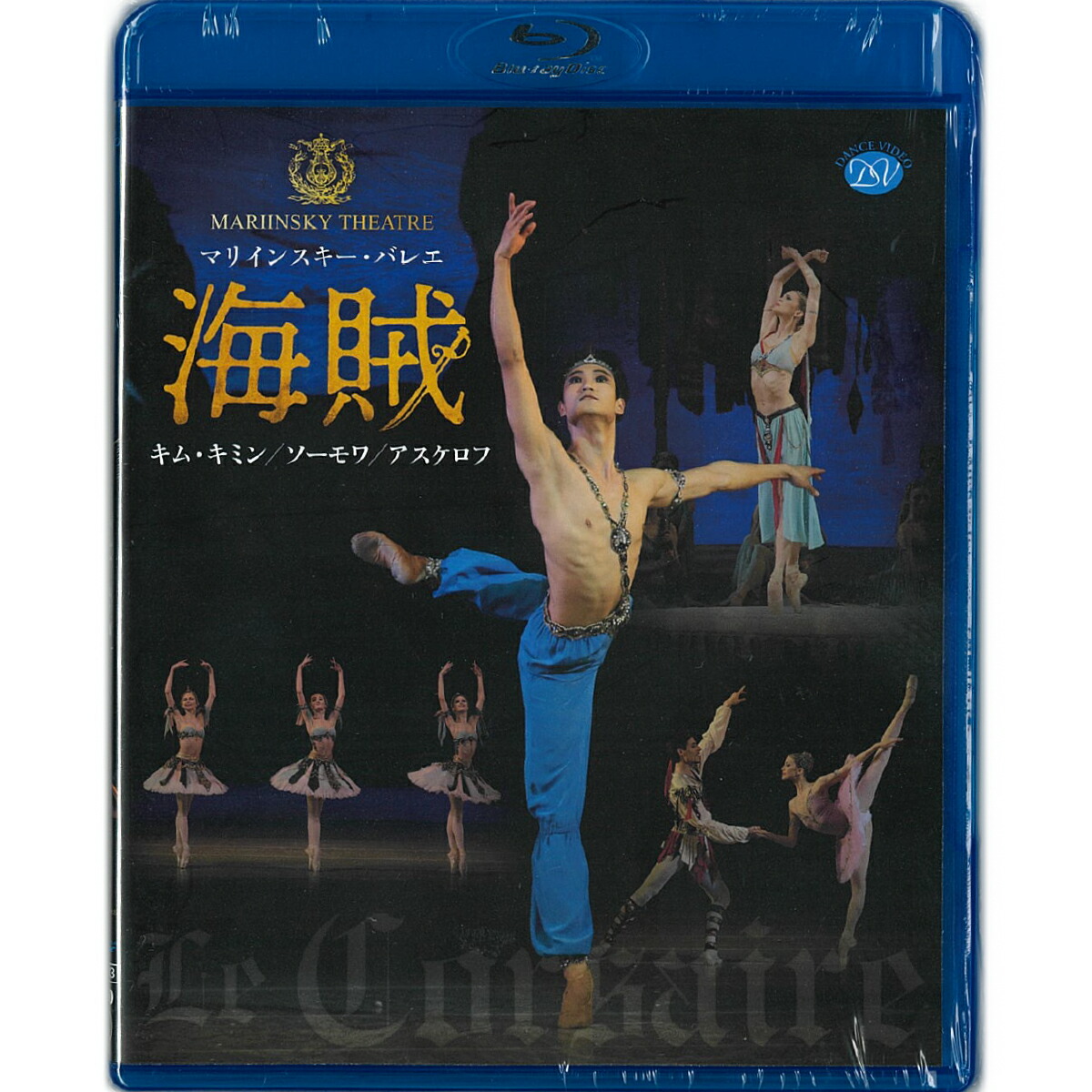 楽天市場】【チャコット 公式(chacott)】【DVD】ワガノワ