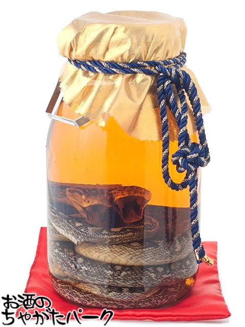 楽天市場】ハブ入り ハブ酒 35度 800ml 億万長蛇 沖縄県 南都