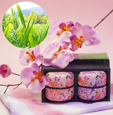 伊勢玉露・高級煎茶50g×2缶入舞乙女なつめ缶ギフト【北海道・九州各県・沖縄県・離島以外への送料無料】【三重の安心食材(減農薬等)認定 お中元 お歳暮 香典返し 年賀 お取り寄せ 伊勢茶 産地直送 お茶 三重県産 一番茶 日本茶 緑茶 茶葉】