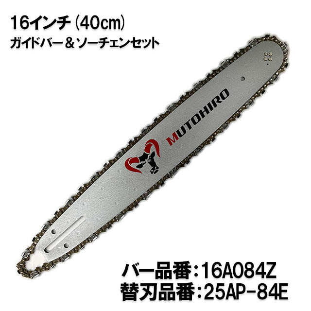 楽天市場】むとひろ ガイドバー ソーチェーンセット 140SDAA041 14インチ(35cm) 25AP-76E スプロケットノーズバー ゼノア  新ダイワ マキタ 共立 タナカ シングウ : ソーチェン問屋むとひろ