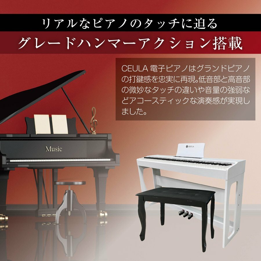 国内外の人気！ sap グランドピアノアックションモデル(2鍵) - - www