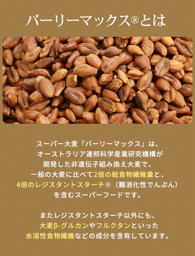 スーパー大麦 ロースト バーリーマックス 100g シリアル 腸活 スーパーフード スーパー大麦 ロースト バーリーマックス 100g シリアル 腸活 スーパーフード