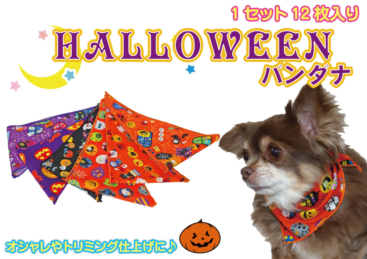 楽天市場】【メール便送料無料】ハロウィン専用ペットトリミングリボン