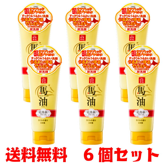 楽天市場】【馬油 洗顔】馬油 リシャン馬油＆炭洗顔フォーム 130g 汚れ