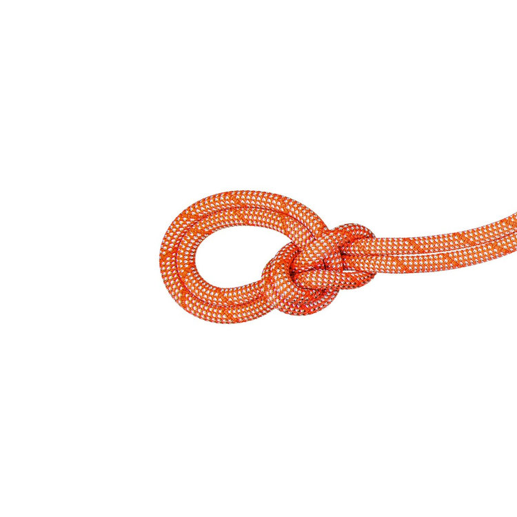 クライミングロープ【MAMMUT マムート クラッグクラシック50m】送料無料 201005850 アルパイン リードクライミング|登山・クライミング専門店シャモニ