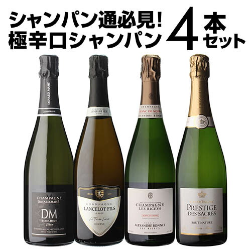 楽天市場】【 P10倍 】送料無料 シャンパンサン ガール