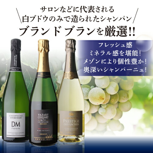 ワインセット すべてブラン ド ブラン！ 特選シャンパーニュ3本セット 第8弾 浜運A【送料無料】