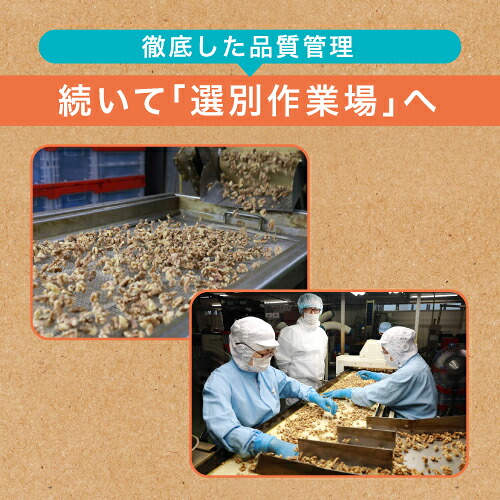 有塩ミックスナッツ 700g 12袋 有塩 賞味期限2027年1月 塩あり 塩ミックスナッツ 大容量 小林商事 ナッツアーモンド くるみ カシューナッツ マカダミアナッツ 虎姫｜シャンパン専門店 CHAMPAGNE HOUSE