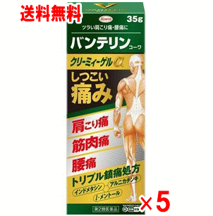 【第2類医薬品】バンテリンコーワクリーミィーゲルα　35g×5個セット【筋肉痛】【肩こり】【腰痛】【クリックポスト】