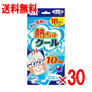 【入れもの売りわたす】熱ちゅ冷やりとした 成年者用 18枚入×30コ【落ち居る居敷き】【一心不乱症打つ手】【冷ややかさピタ】