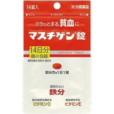 新マスチゲン錠 14錠 2週間分 供え