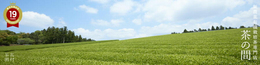 ̵����ͭ������������Ź����δ֡ۡ��¿�������̵����ͭ�������������Ȣ�ʤɤ��Ϥ����ޤ���