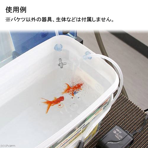 楽天市場 点滴法で生体にやさしい 水合わせキット エーハイムろ材用 ５ｌバケツのおまけつき お一人様２点限り 関東当日便 Charm 楽天市場店