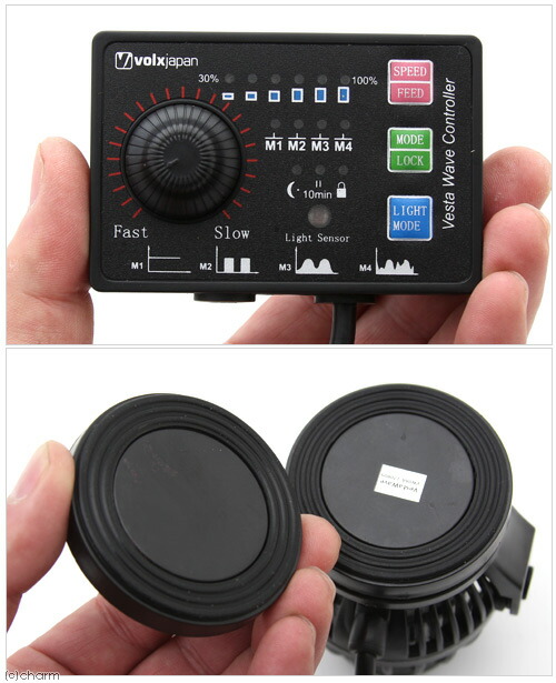 ボルクスジャパンVestaWaveVW08A25W8000L/h【HLS_DU】関東当日便