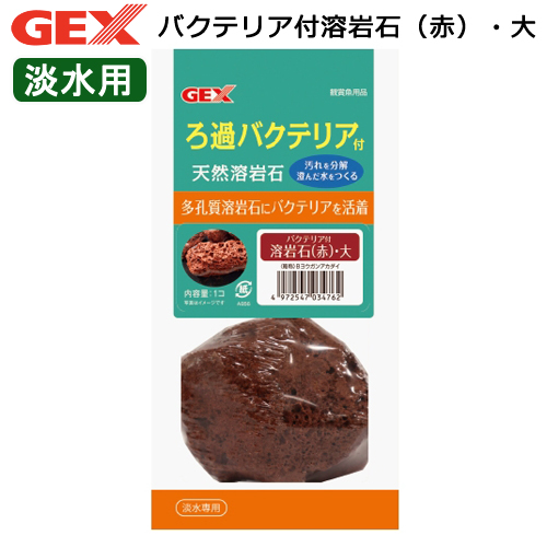 楽天市場 ｇｅｘ バクテリア付溶岩石 赤 大 関東当日便 Charm 楽天市場店