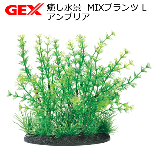 水草ショップ 楽天市場】GEX 癒し水景 MIXプランツ ロック黒 人工水草 関東
