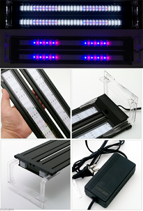 Kotobuki ビーシュリンプ メダカ フラットｌｅｄ 関東当日便 Charm ６００ 店 Greenies コトブキ工芸 ツイン 沖縄別途送料 ブラック