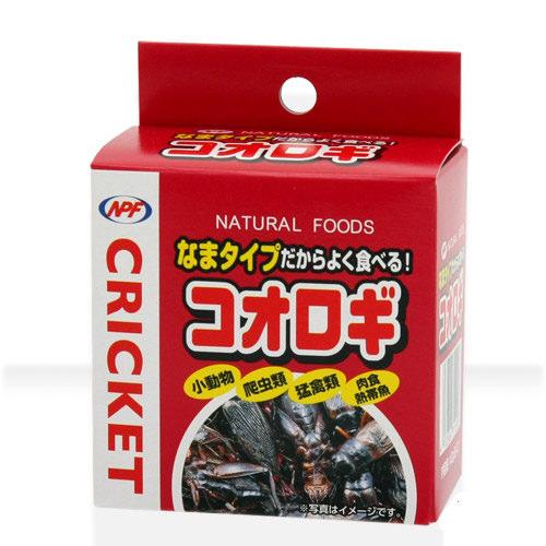 差し当たって執り行なう中・ふり出し中の社会的運動・クーポン券知らせ