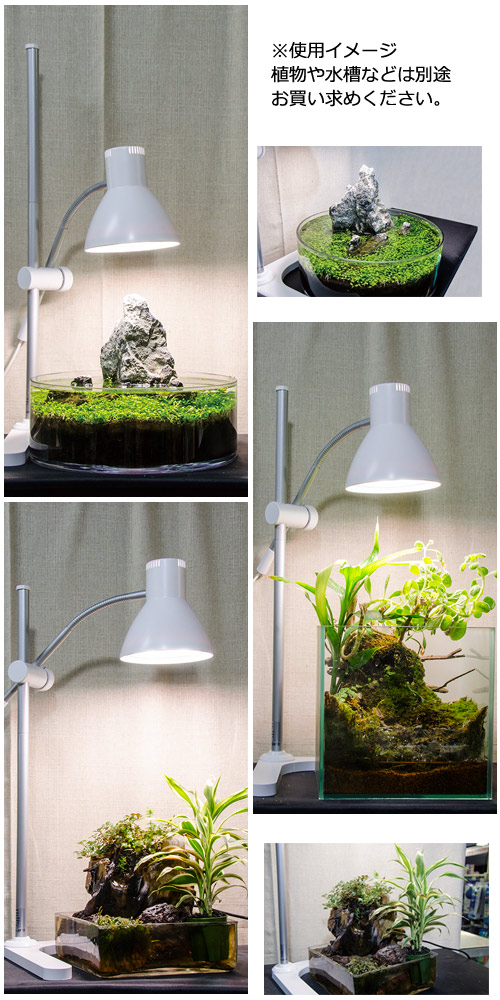楽天市場 ｇｅｎｔｏｓ 植物育生ライト 太陽光ｌｅｄ 観葉植物 水草 小型水槽 ｌｅｄ テラリウム 沖縄別途送料 関東当日便 Charm 楽天市場店