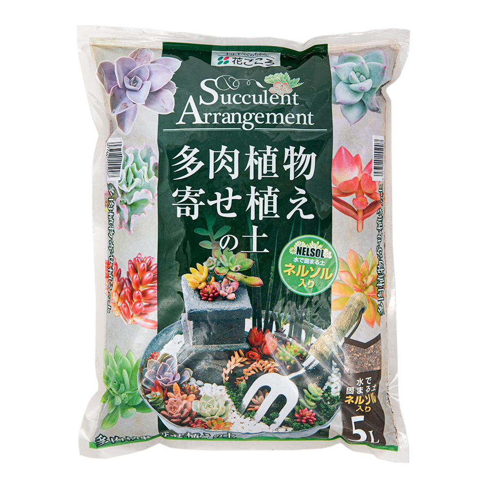 楽天市場】ハイポネックス キュート サボテン・多肉植物用