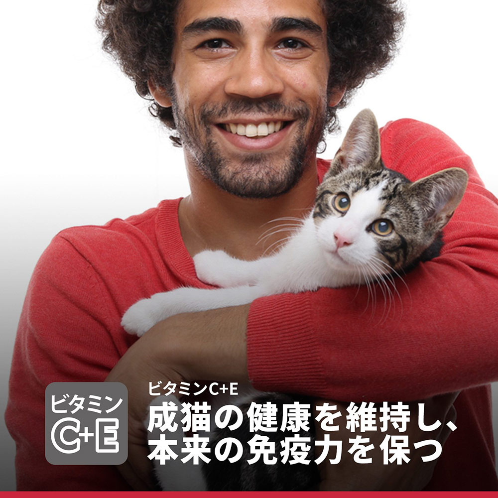 楽天市場 サイエンスダイエット ヘアボールコントロール アダルト チキン 成猫用 ２ ８ｋｇ ４袋 沖縄別途送料 関東当日便 Charm 楽天市場店