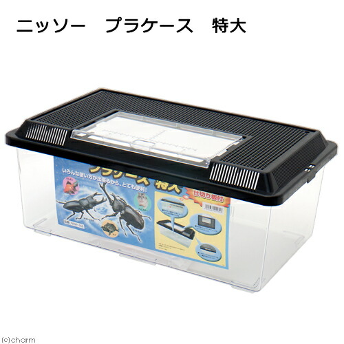 楽天市場】三晃商会 プラケース パノラマビッグ 関東当日便 : charm