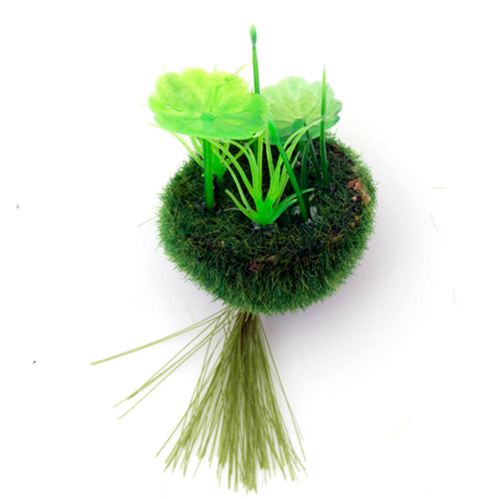 【楽天市場】ニッソー テーブルアクア 浮かべる癒し苔玉 壱（イチ） 関東当日便：charm 楽天市場店