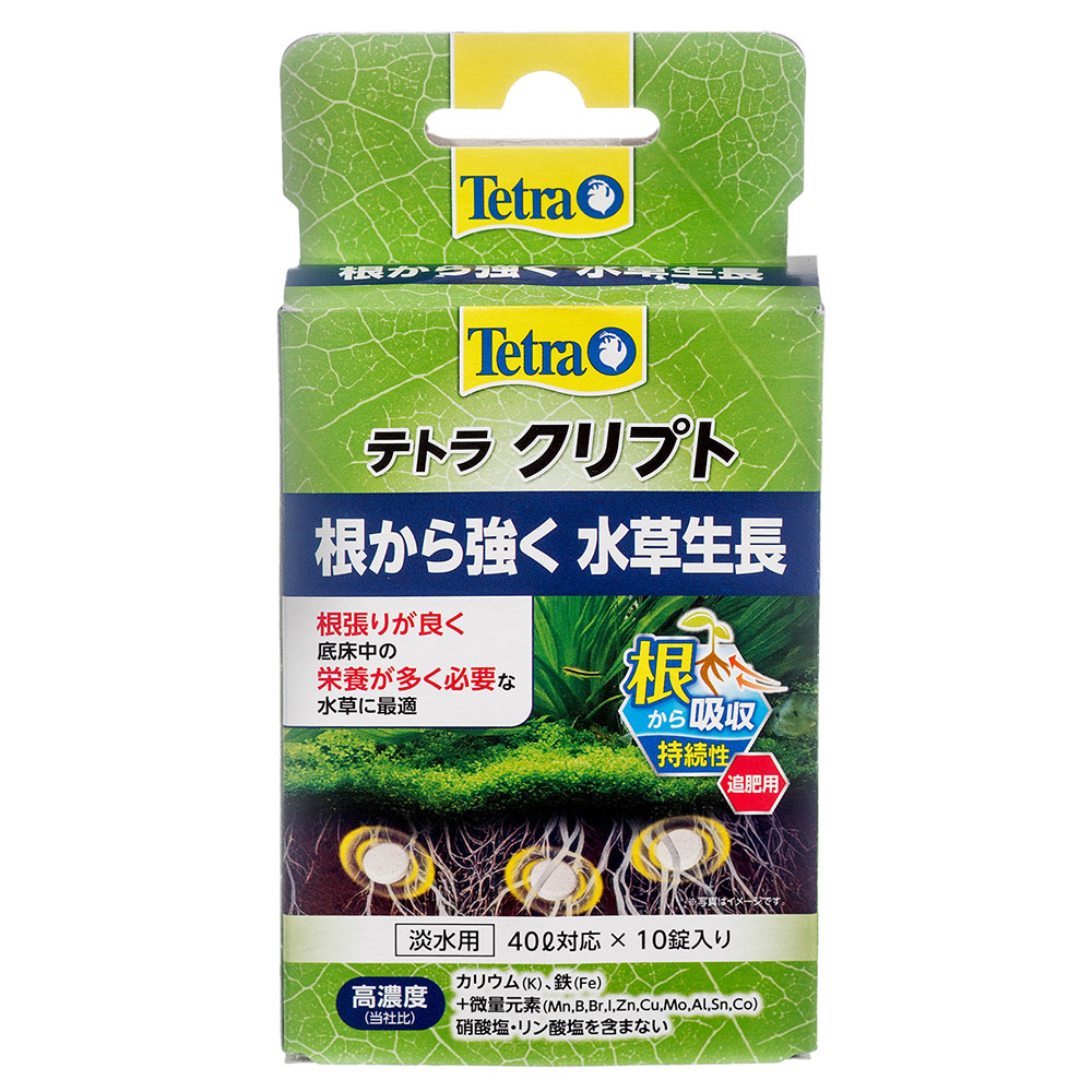 楽天市場 テトラ クリプト１０錠入 水草成長促進剤 即効性 埋めるタイプ 関東当日便 Charm 楽天市場店