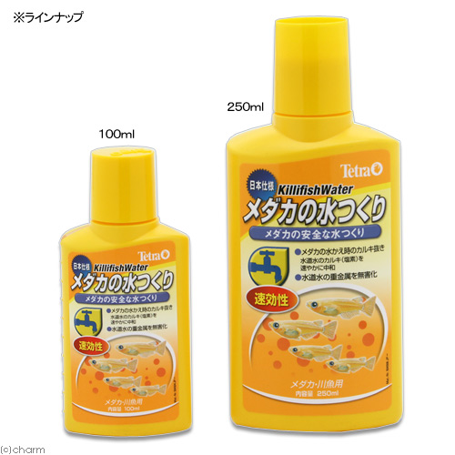 楽天市場 テトラ メダカの水つくり １００ｍｌ カルキ抜き 粘膜保護剤 関東当日便 Charm 楽天市場店