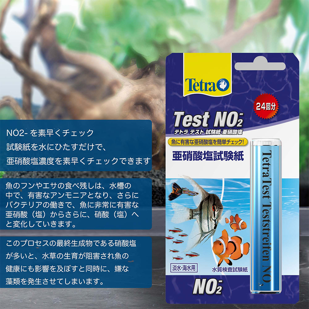 楽天市場 テトラテスト 試験紙ｎｏ３ 硝酸塩 淡水 海水用 関東当日便 Charm 楽天市場店