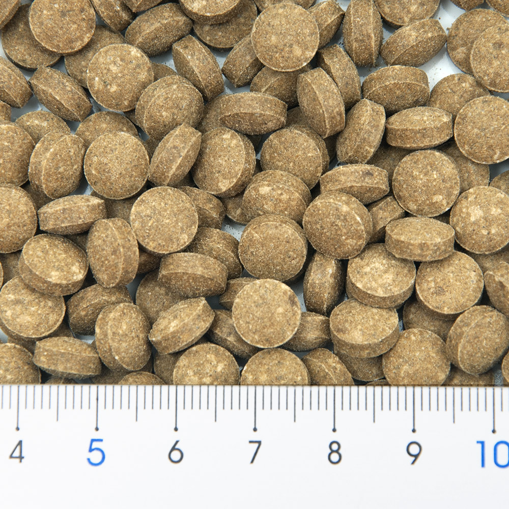 楽天市場 ビフォルモ ｎａｔｕｒｅ １００ｍｌ ２５８粒 コリドラス 餌 草食性爬虫類 関東当日便 Charm 楽天市場店