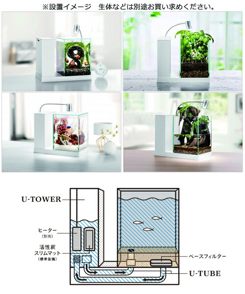 お一人様５点限り 金魚 関東当日便 Charm オールインワン水槽セット ｇｅｘ 店 熱帯魚 初心者 アクアユー ａｑｕａ ｕ 水槽セット 沖縄別途送料
