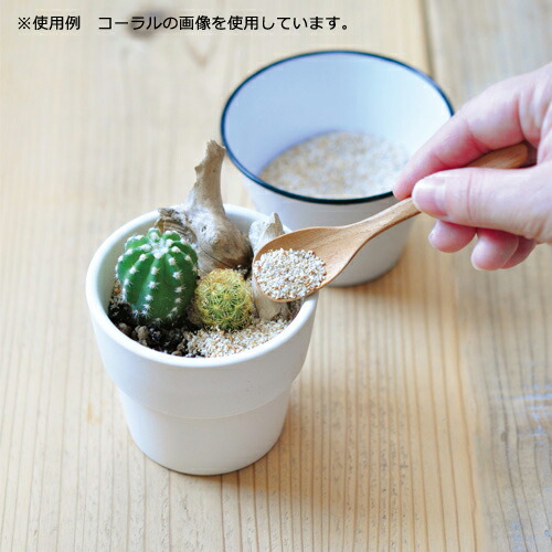 楽天市場 ｄｅｃｏｒａｔｉｏｎ ｓａｎｄ 水で固まる砂 ホワイト １５０ｇ 関東当日便 Charm 楽天市場店