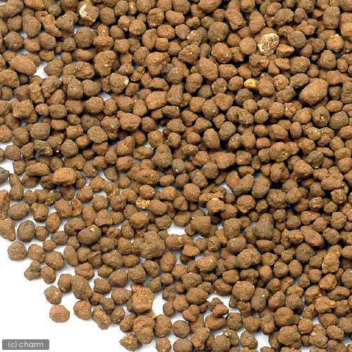 楽天市場 水草とシュリンプの土 こげ茶 ３ ３ｋｇ 約３リットル ノーマルタイプ 熱帯魚 用品 ソイル 関東当日便 Charm 楽天市場店